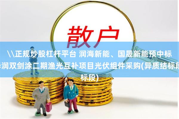 \正规炒股杠杆平台 润海新能、国晟新能预中标华润双剑涂二期渔光互补项目光伏组件采购(异质结标段)