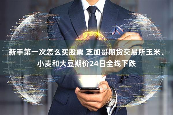 新手第一次怎么买股票 芝加哥期货交易所玉米、小麦和大豆期价24日全线下跌