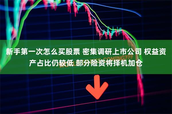 新手第一次怎么买股票 密集调研上市公司 权益资产占比仍较低 部分险资将择机加仓