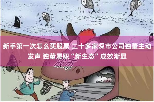 新手第一次怎么买股票 二十多家深市公司独董主动发声 独董履职“新生态”成效渐显