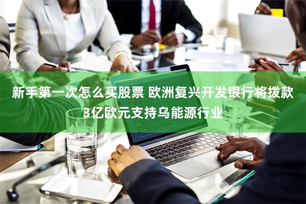 新手第一次怎么买股票 欧洲复兴开发银行将拨款3亿欧元支持乌能源行业