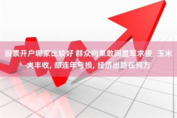 股票开户哪家比较好 群众向果敢同盟军求援, 玉米大丰收, 却连年亏损, 经济出路在何方