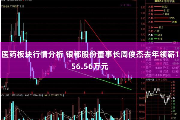 医药板块行情分析 银都股份董事长周俊杰去年领薪156.56万元