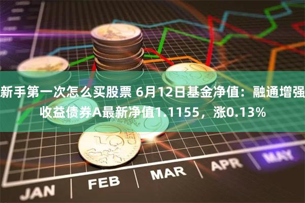 新手第一次怎么买股票 6月12日基金净值：融通增强收益债券A最新净值1.1155，涨0.13%