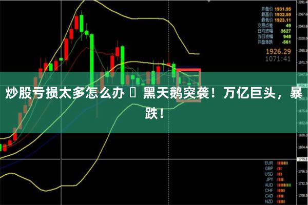 炒股亏损太多怎么办 ​黑天鹅突袭！万亿巨头，暴跌！