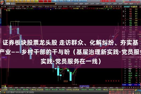 证券板块股票龙头股 走访群众、化解纠纷、夯实基础、发展产业—— 乡村干部的干与盼（基层治理新实践·党员服务在一线）