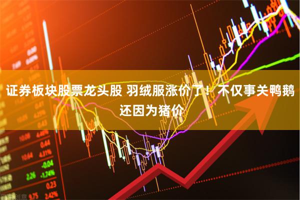证券板块股票龙头股 羽绒服涨价了！不仅事关鸭鹅 还因为猪价