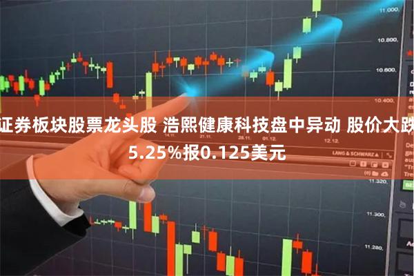 证券板块股票龙头股 浩熙健康科技盘中异动 股价大跌5.25%报0.125美元