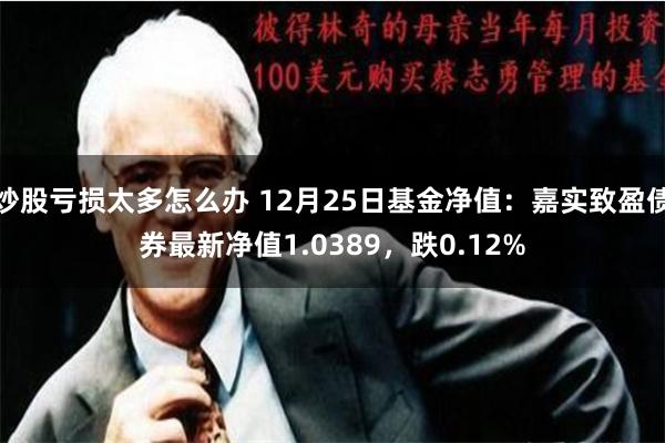 炒股亏损太多怎么办 12月25日基金净值：嘉实致盈债券最新净