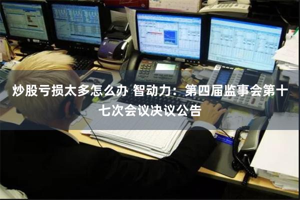 炒股亏损太多怎么办 智动力：第四届监事会第十七次会议决议公告