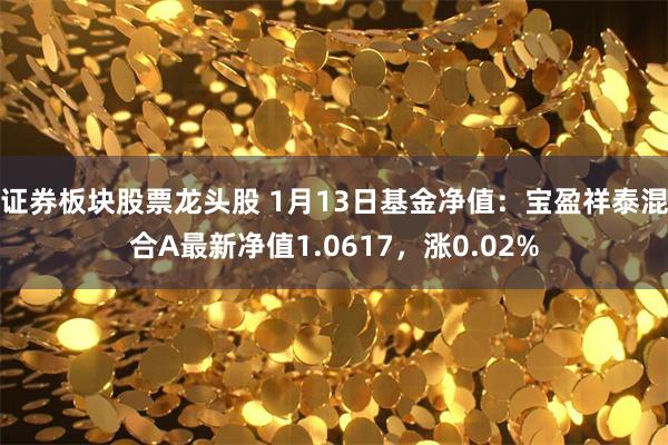 证券板块股票龙头股 1月13日基金净值：宝盈祥泰混合A最新净值1.0617，涨0.02%